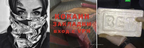 шишки Аркадак