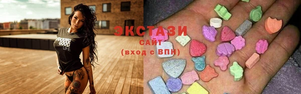 шишки Аркадак