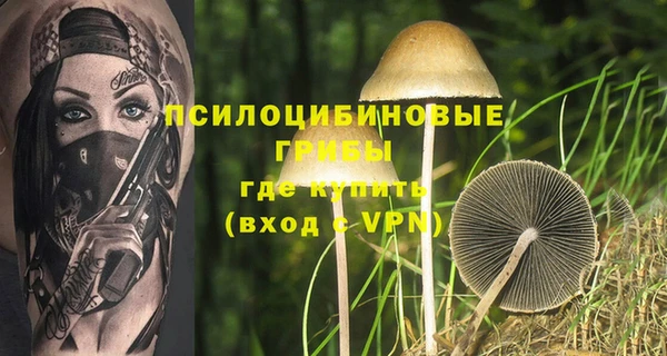 твердый Дегтярск
