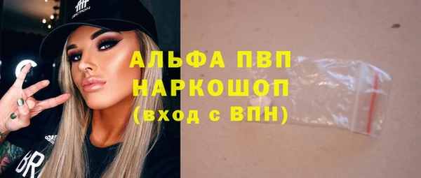 шишки Аркадак