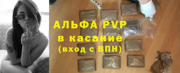 шишки Аркадак