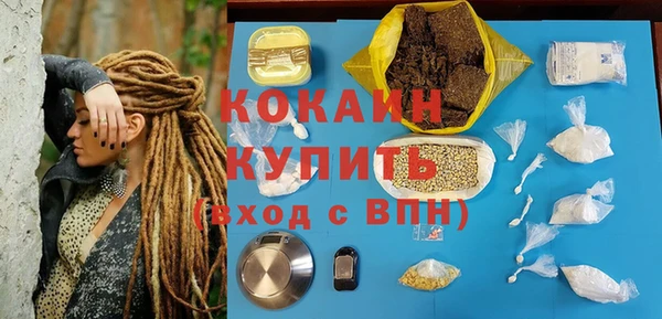 шишки Аркадак
