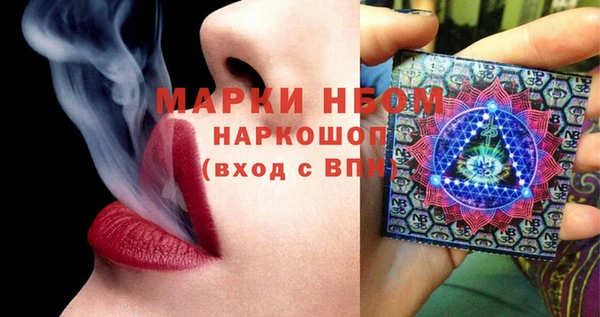 шишки Аркадак