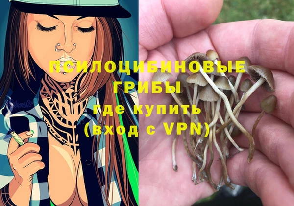 соль ск Армянск