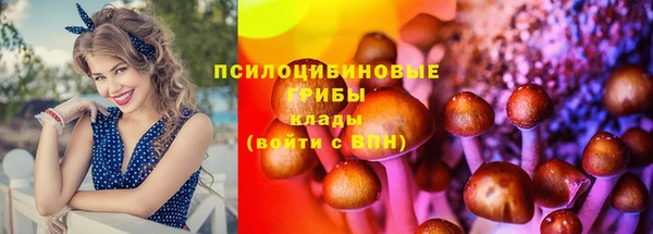 соль ск Армянск
