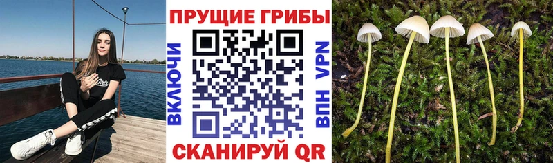 Галлюциногенные грибы Magic Shrooms магазин продажи наркотиков Ейск